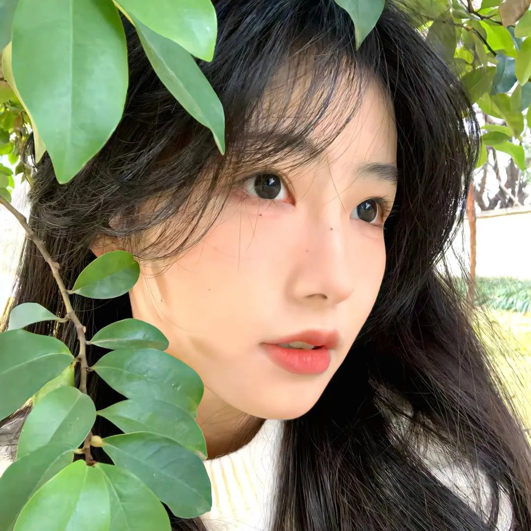 马达加斯加：疯狂情人节